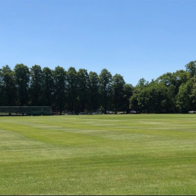 Cricket Nets